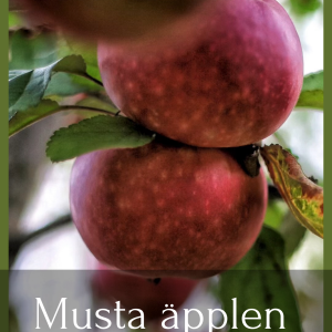 musta äpplen onsdag 16:e september