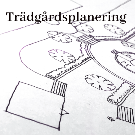 2022-10-05  Trädgårdsplanering